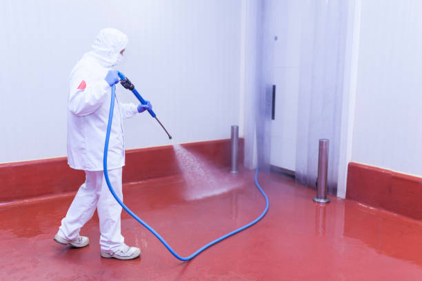 Paint Preparation in Montgomeryville, PA